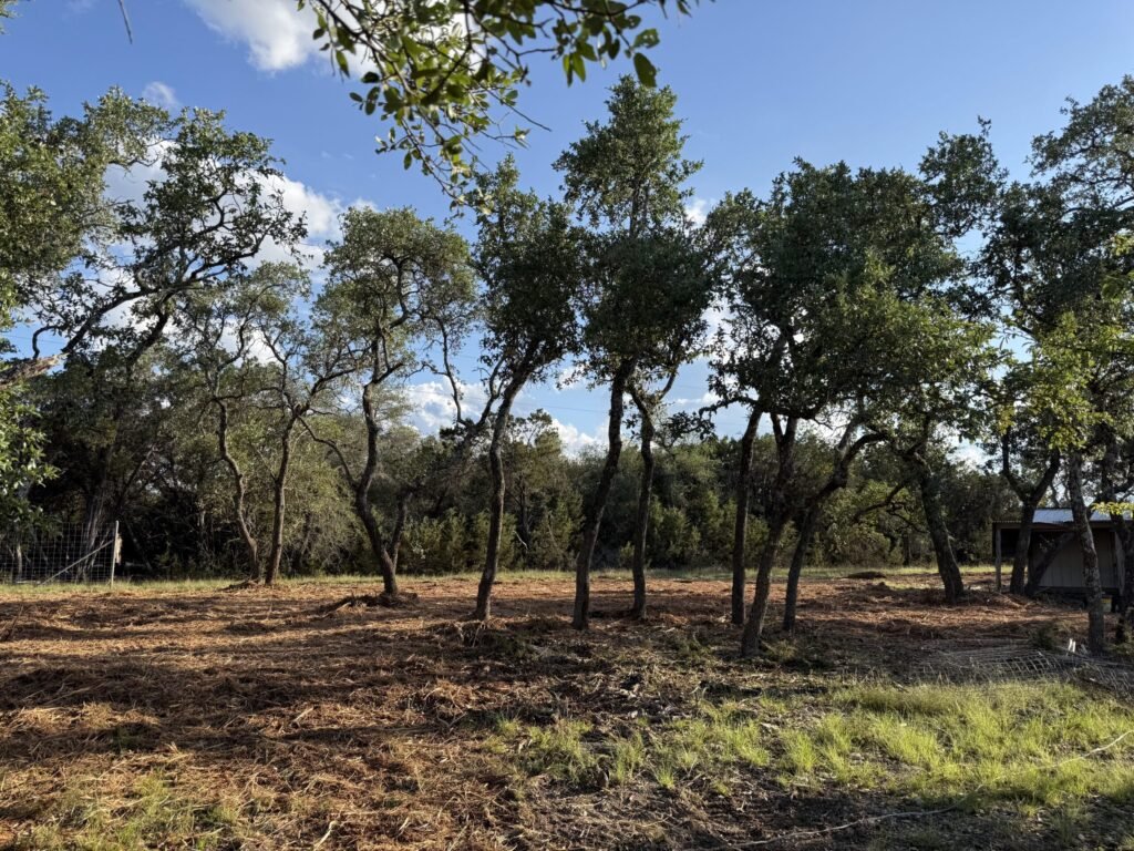 Texas Land Clearing