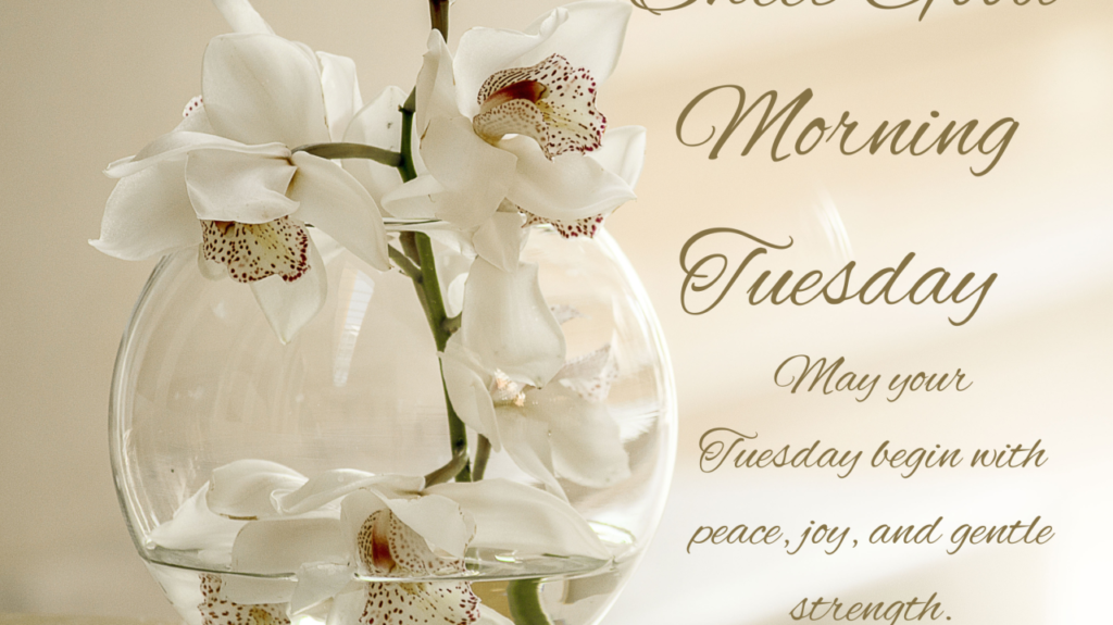 Start Your Day with Joy – The True Meaning of a Blessed Tuesday blessed tuesday