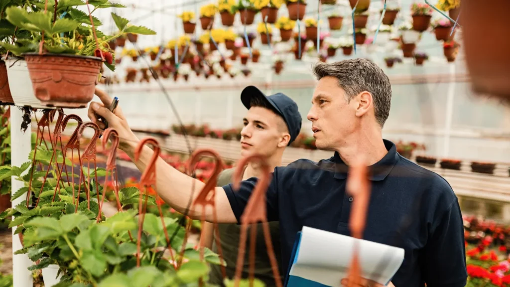 Garden Guide Homenumental – Your Ultimate Companion for a Beautiful, Thriving Garden garden guide homenumental